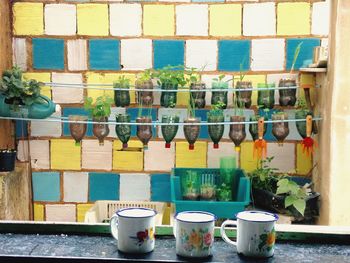 Close-up of potted plants