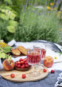 Picnic outdoors in lavender fields. rose wine in a glass, cherries and straw hat on blanket