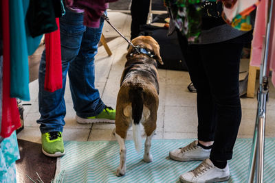 Low section of man standing with dog