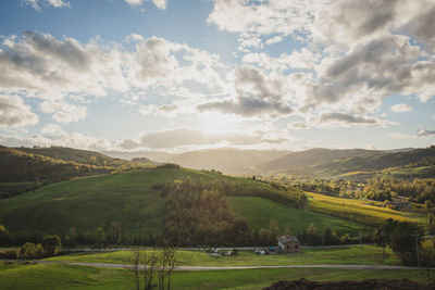 Scenic view of agricultural field against sky