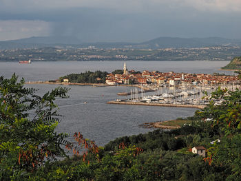 High angle view of harbor and townscape 