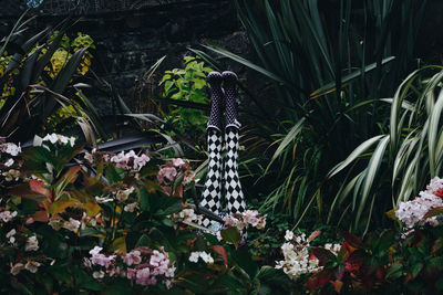 Low section of woman with feet up amidst plants at park