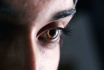 Close-up of woman eye