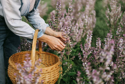 Midsection of man working in basket