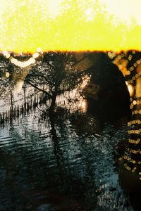 Close-up of silhouette tree in water against sky