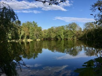 Scenic view of lake in forest against sky