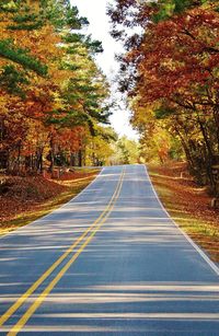 Scenic drive through autumn leaves