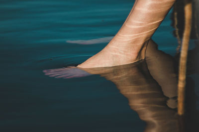 Low section of woman feet in water at lake