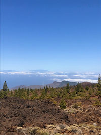 Scenic view of landscape against blue sky