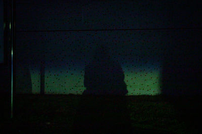 Silhouette of person standing on illuminated field