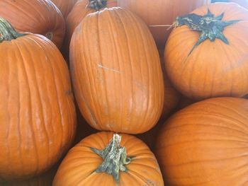 High angle view of pumpkins for sale at market stall