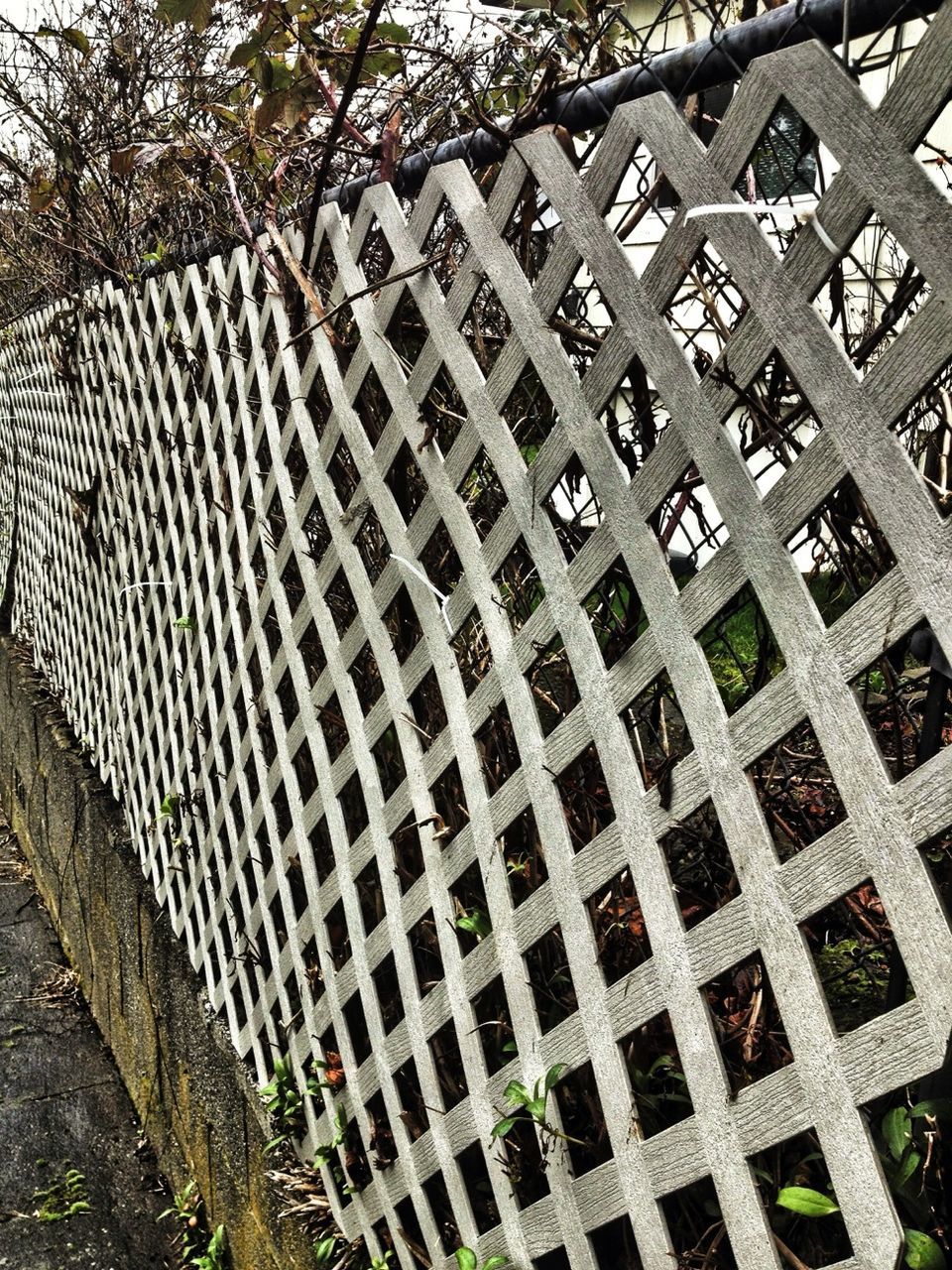 architecture, building exterior, built structure, pattern, low angle view, tree, day, metal, fence, repetition, building, outdoors, no people, city, modern, full frame, protection, metallic, roof, architectural feature