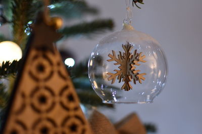 Close-up of christmas tree