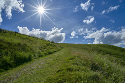 Scenic view of field against sky