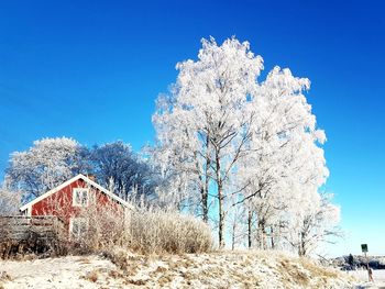 Winterday in peaceful stillness 