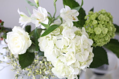 Close-up of white flowers blooming outdoors