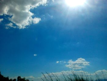 Low angle view of trees against blue sky