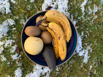 High angle view of fruits on snowy winter field