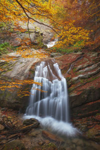 Scenic view of waterfall in forest