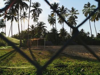 Trees and plants on field seen through fence