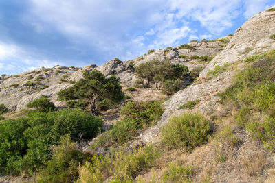 Scenic view of rocky mountains against sky