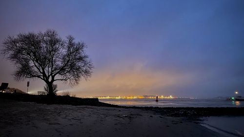 Silhouette trees on beach against sky at sunset