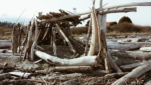 sky, wood - material, damaged, obsolete, abandoned, field, old, landscape, day, nature, run-down, deterioration, log, outdoors, no people, tranquility, wood, transportation, destruction, rusty