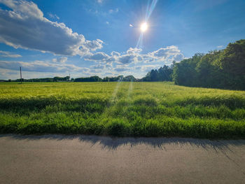 Scenic view of field against sky