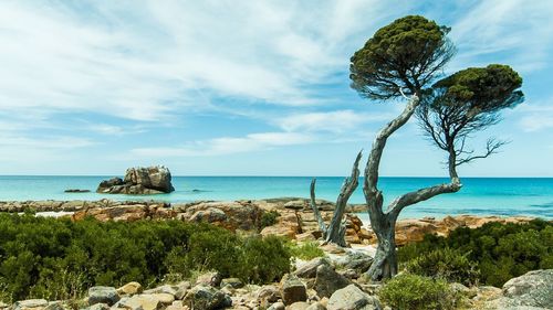 Scenic view of sea against cloudy sky