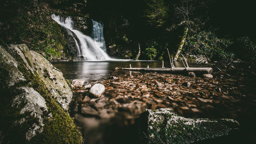 Close-up of waterfall in forest