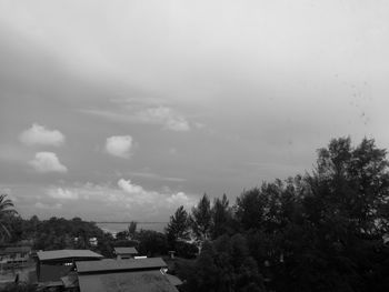 Trees against sky