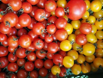 Detail shot of tomatoes