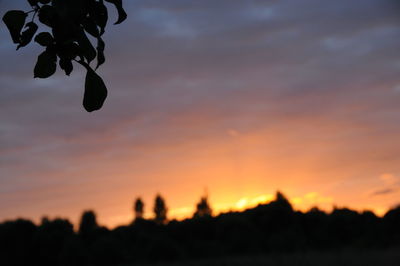 Silhouette of trees against sky at sunset