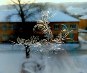 Close-up of snow