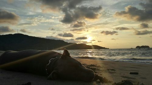 Scenic view of beach against sky during sunset