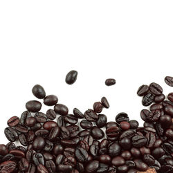 High angle view of coffee beans against white background