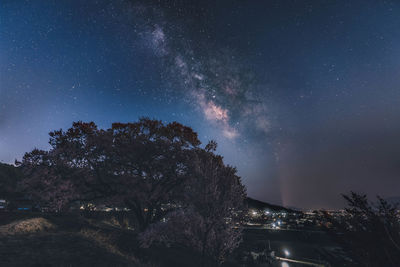 Aerial view of trees against sky at night