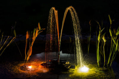 Illuminated fireworks at night