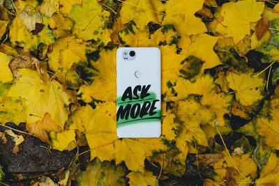 Directly above shot of text on phone cover over autumn leaves