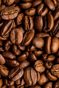 Full frame shot of coffee beans