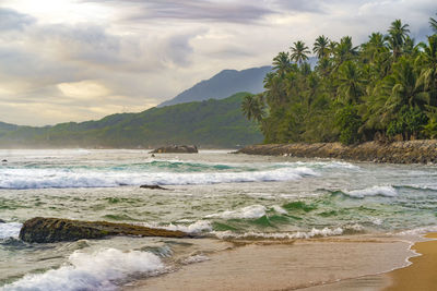 Sawang indah beach, tapaktuan, aceh. serene coastal paradise with swaying palm trees, pristine sands