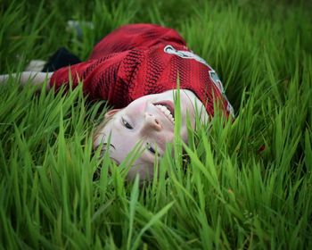 Close-up of dog in grass