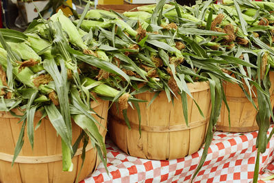 Close-up of potted plants in market