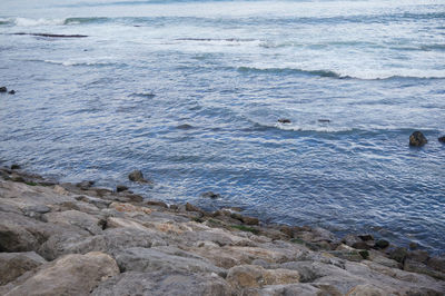 High angle view of sea shore