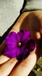 Close-up of woman hand on purple flower