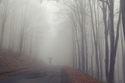 Rear view of man walking in forest