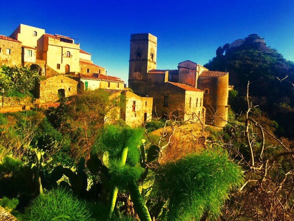 architecture, built structure, building exterior, history, clear sky, ancient, castle, no people, old ruin, damaged, fort, outdoors, day, tree, ancient civilization, low angle view, nature, travel destinations, sky, blue