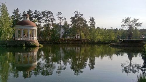 Reflection of trees in water
