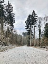 Snow covered road amidst trees against sky