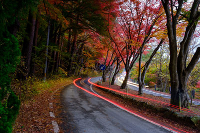 Autumn on road along with yellow red orange green maple leaves in autumn season 